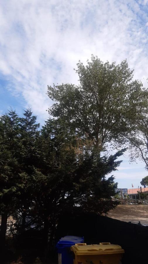 La Spiaggia Lido di Volano Buitenkant foto